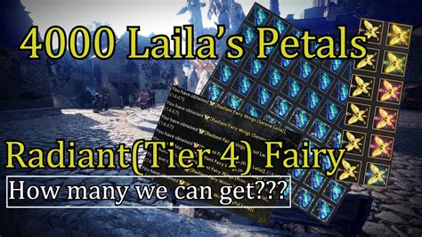 bdo laila's petal|bdo laila's scattered petals.